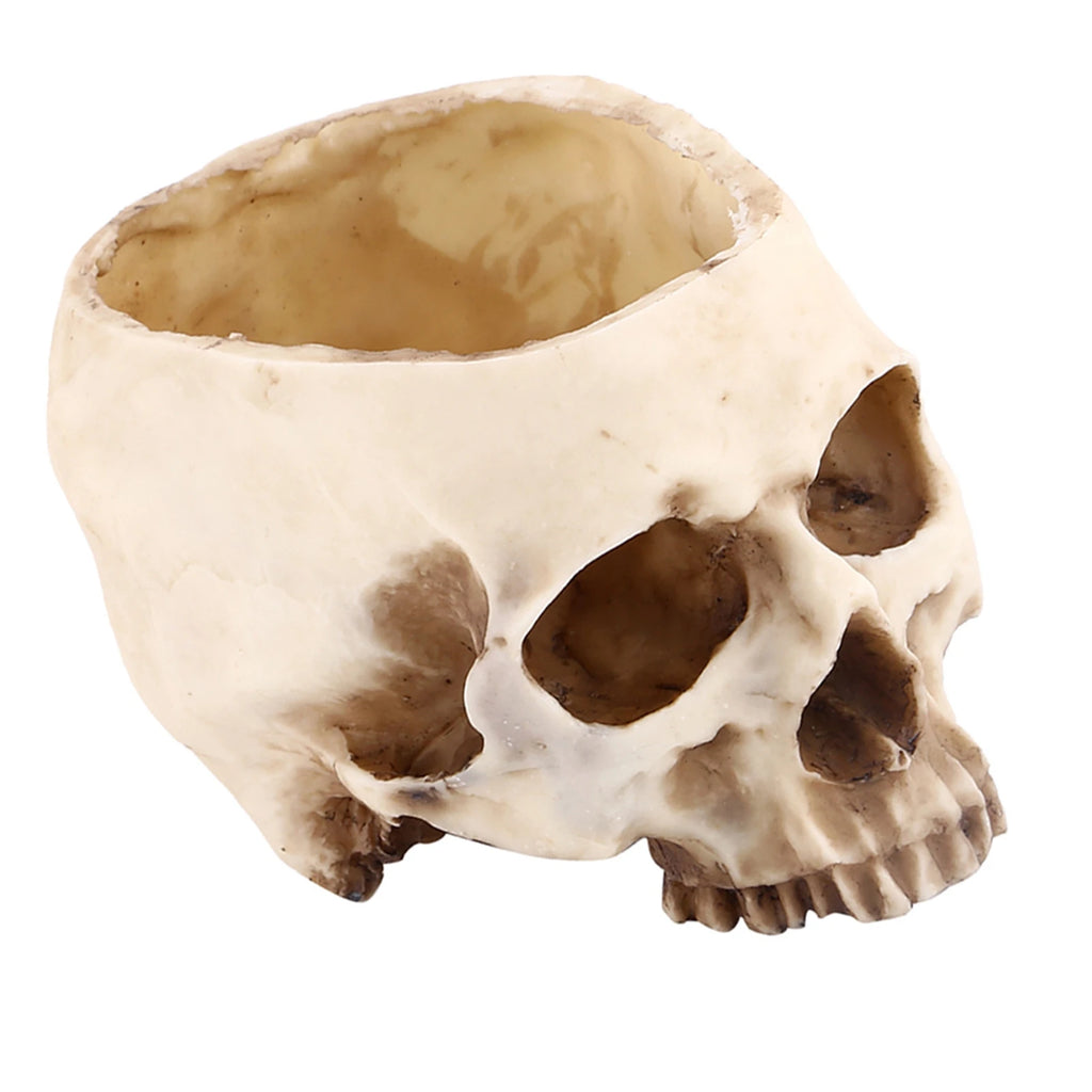 Resin Skull Head Design Flower Pot Planter Container Decoration Skull Container Skull Pot Skull Plant Pot Skull Flowerpot