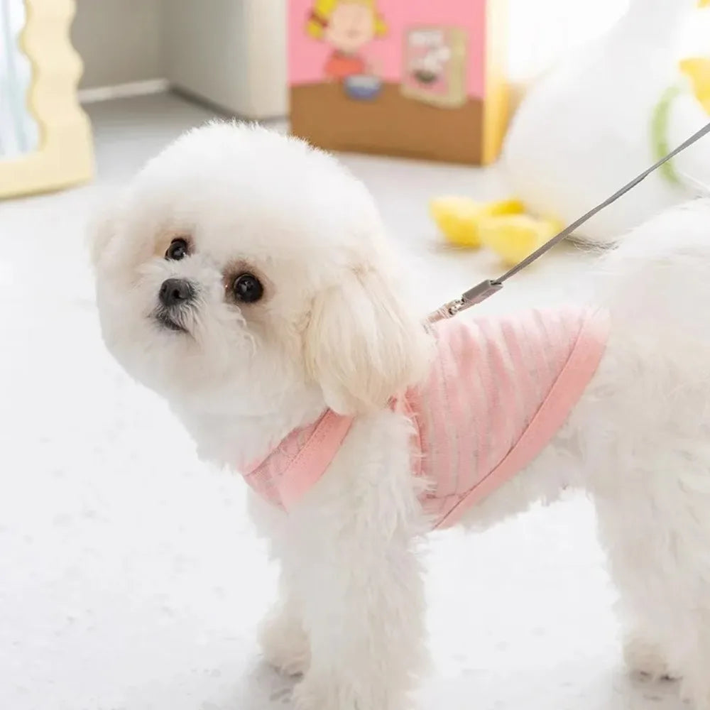 Summer Pet Vest for Small Medium Dog Cooling Clothes Chihuahua French Bulldog Breathable Clothes Puppy Casual Shirt Dog Costume