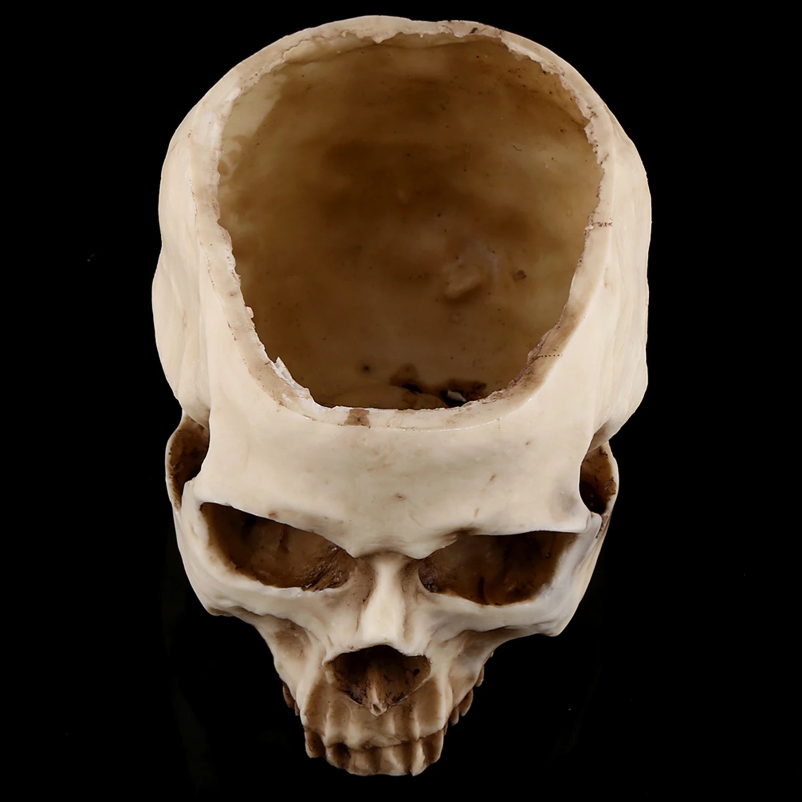 Resin Skull Head Design Flower Pot Planter Container Decoration Skull Container Skull Pot Skull Plant Pot Skull Flowerpot