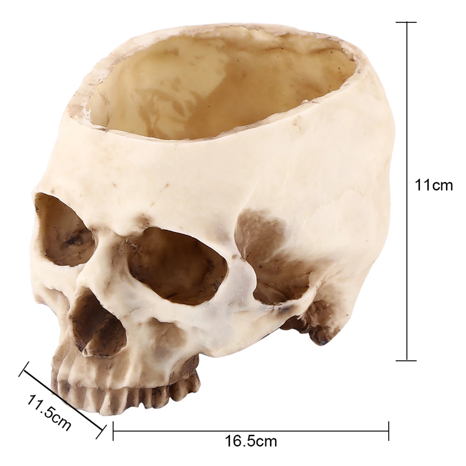Resin Skull Head Design Flower Pot Planter Container Decoration Skull Container Skull Pot Skull Plant Pot Skull Flowerpot