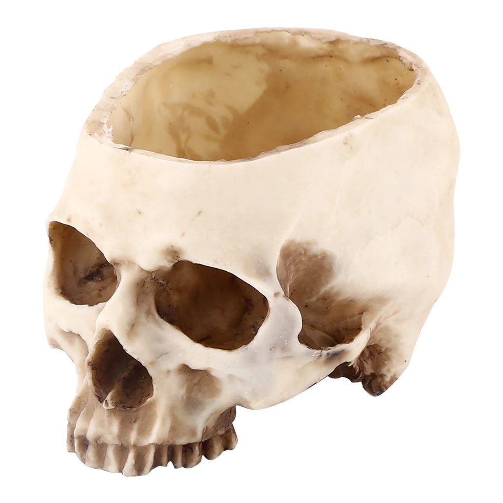 Resin Skull Head Design Flower Pot Planter Container Decoration Skull Container Skull Pot Skull Plant Pot Skull Flowerpot
